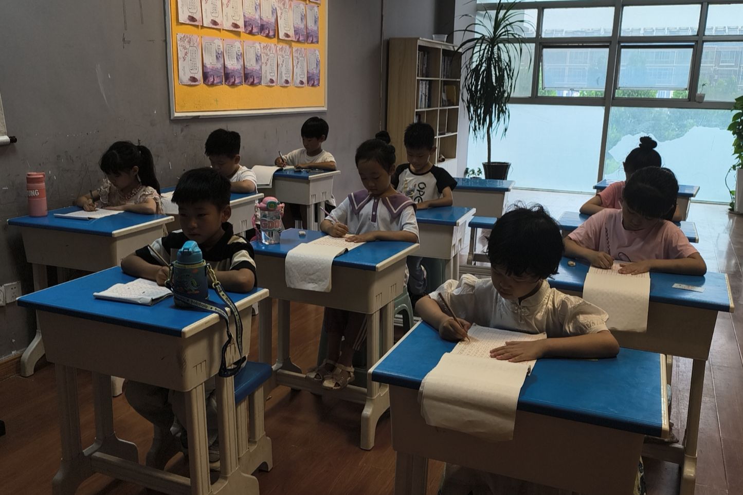 书法培训